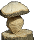 Sculpure champignon